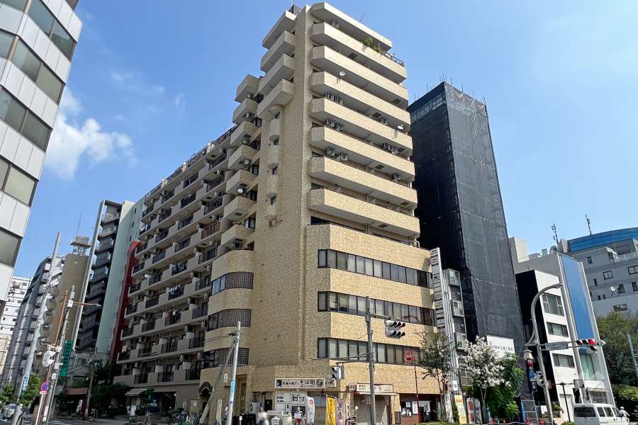 ライオンズマンション上野松が谷の外観（南西側から）