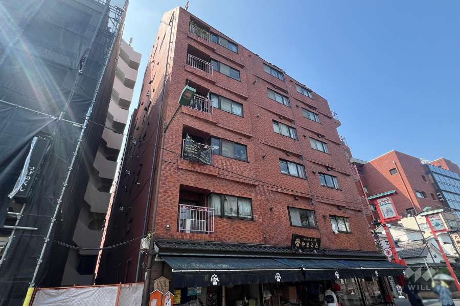 ライオンズマンション雷門の外観（北東側から）