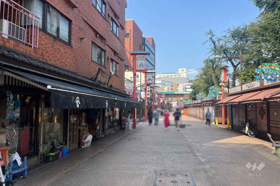 敷地北側の前面道路