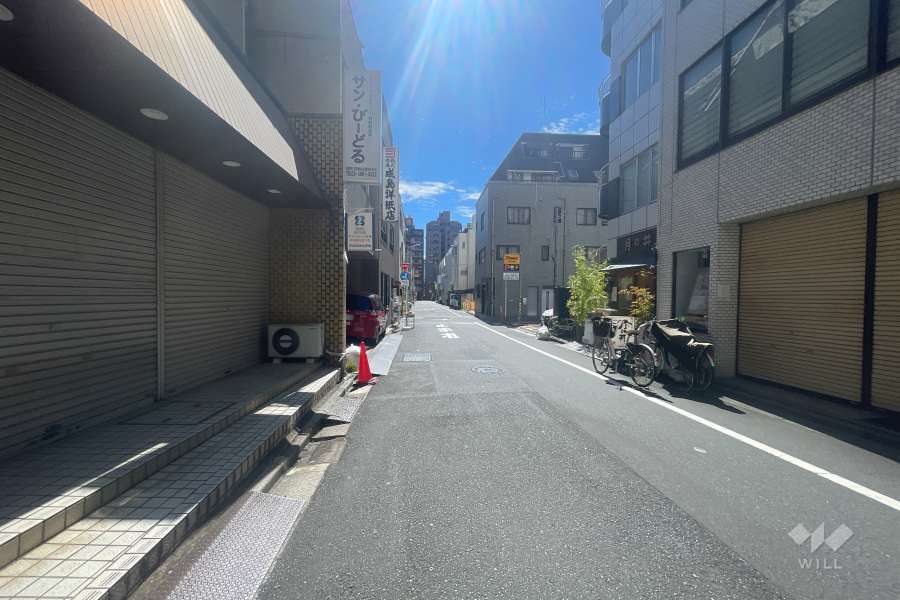 敷地の南側前面道路（西側から）