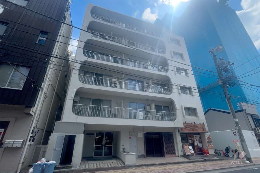 上野スカイハイツの外観（北西側から）