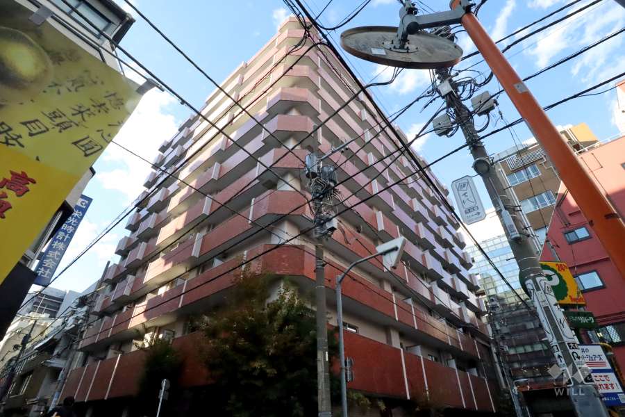 上野永谷タウンプラザの外観(南東側から)