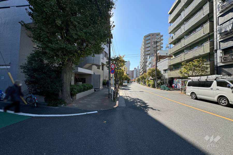 敷地西側の前面道路（北側から）