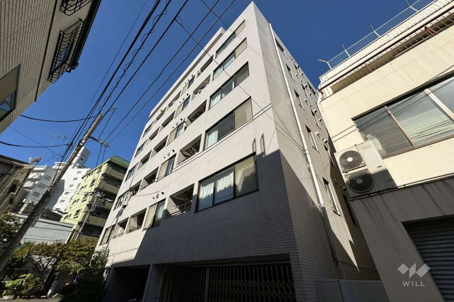 浅草ハイムの外観（南東側から）