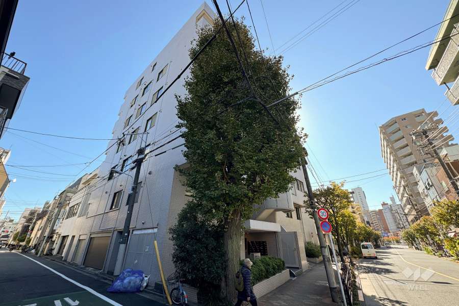 浅草ハイムの外観（北西側から）
