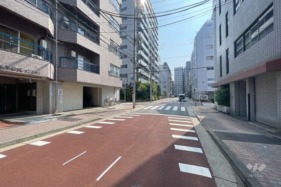 敷地南側の前面道路　