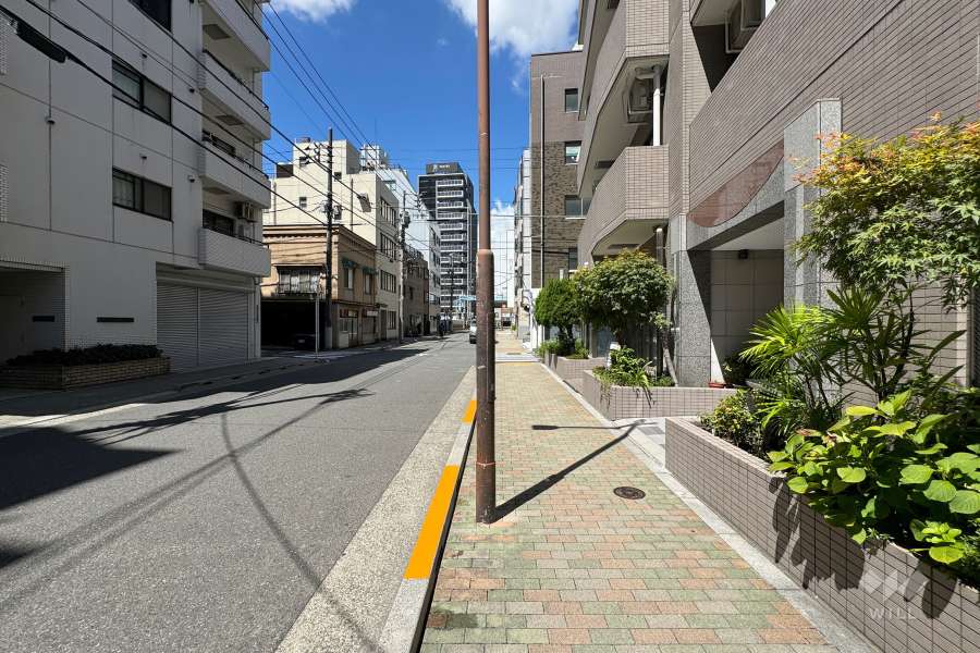 敷地北側の前面道路　