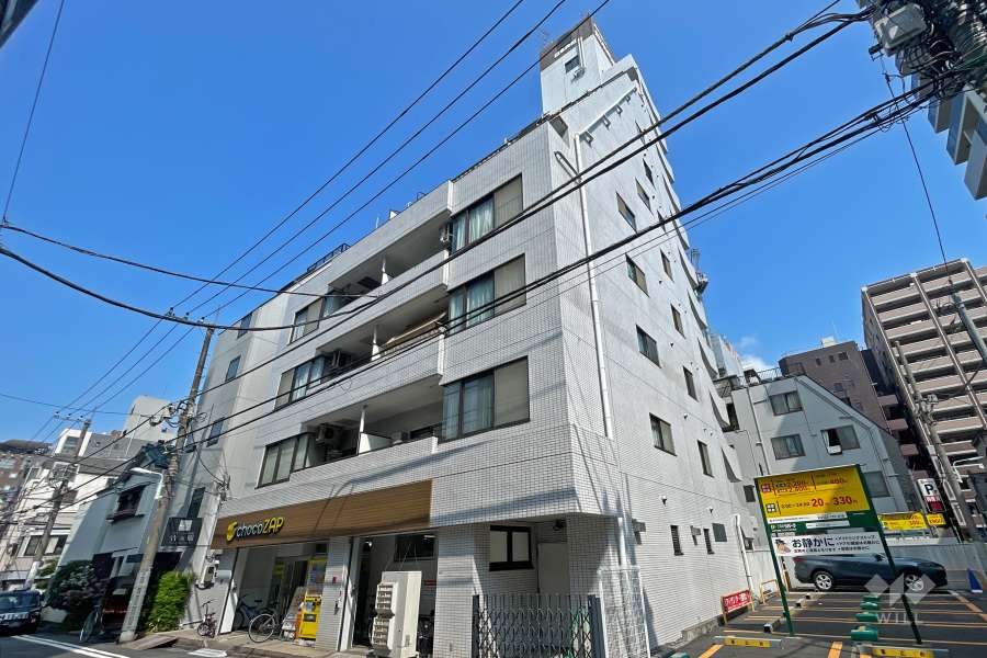 日興パレス雷門の外観（南東側から）