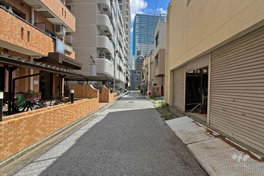 敷地の南側前面道路（西側から）