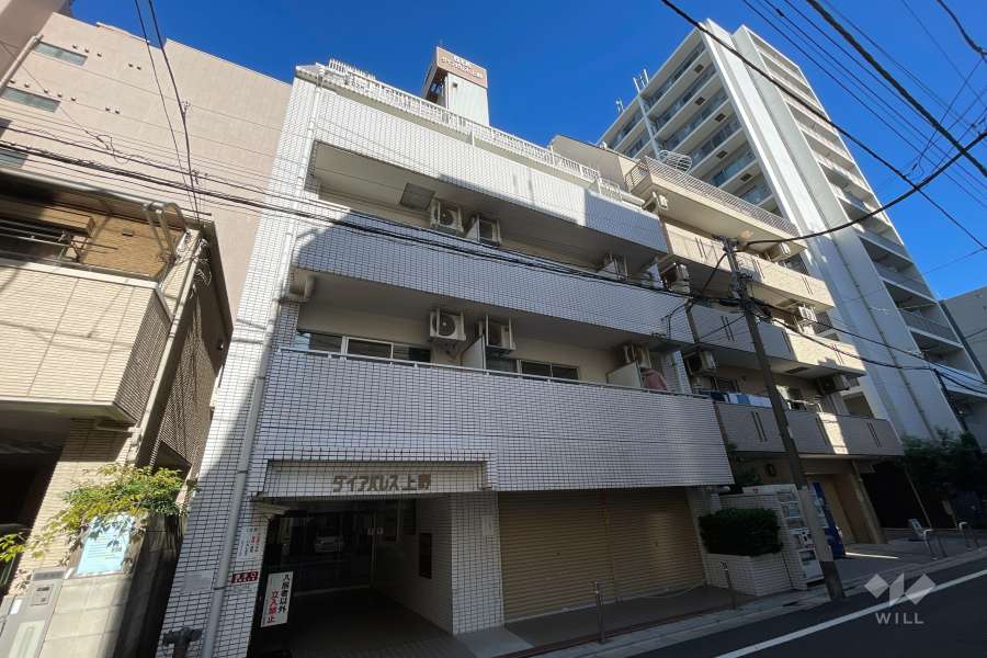 ダイアパレス上野の外観（南東側から）