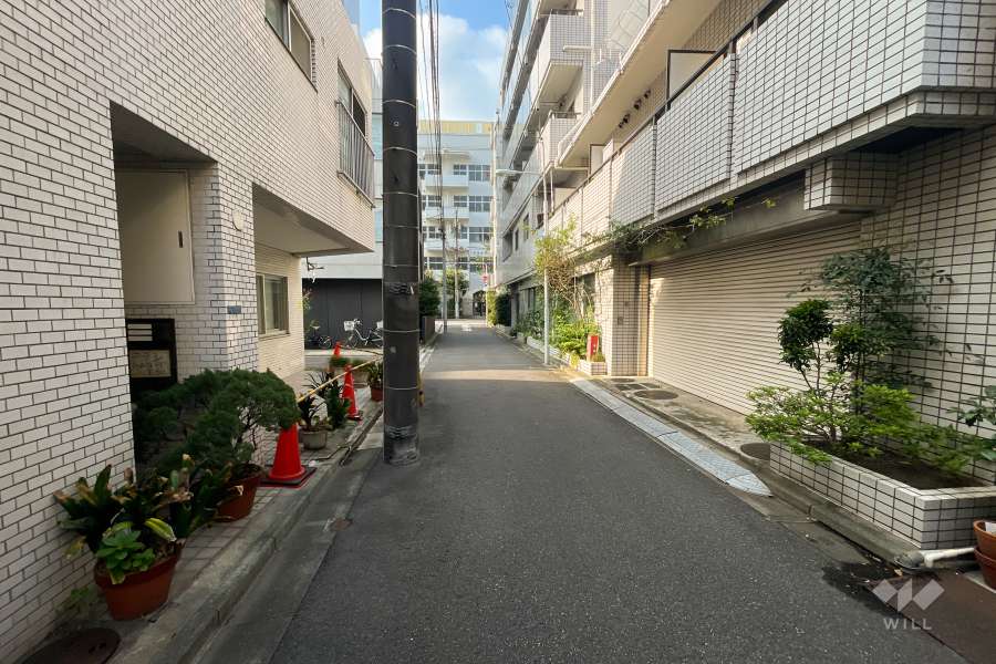 敷地東側の前面道路（北側から）