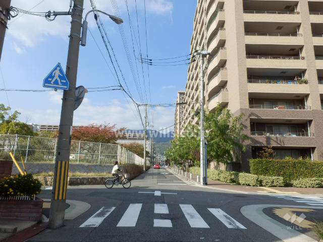 敷地南西側の前面道路