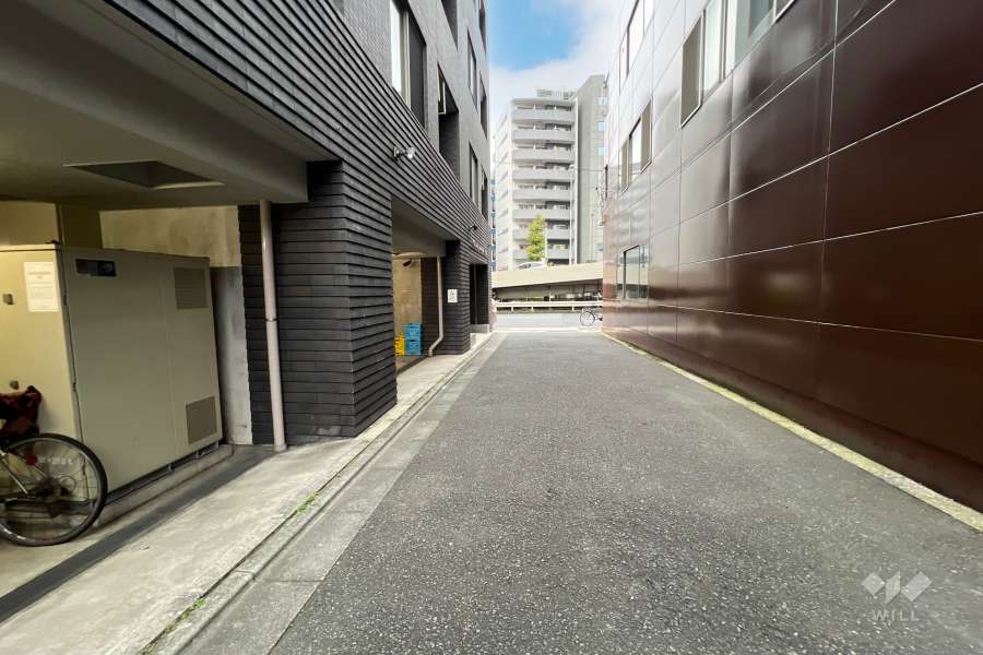 敷地の南側前面道路（西側から）