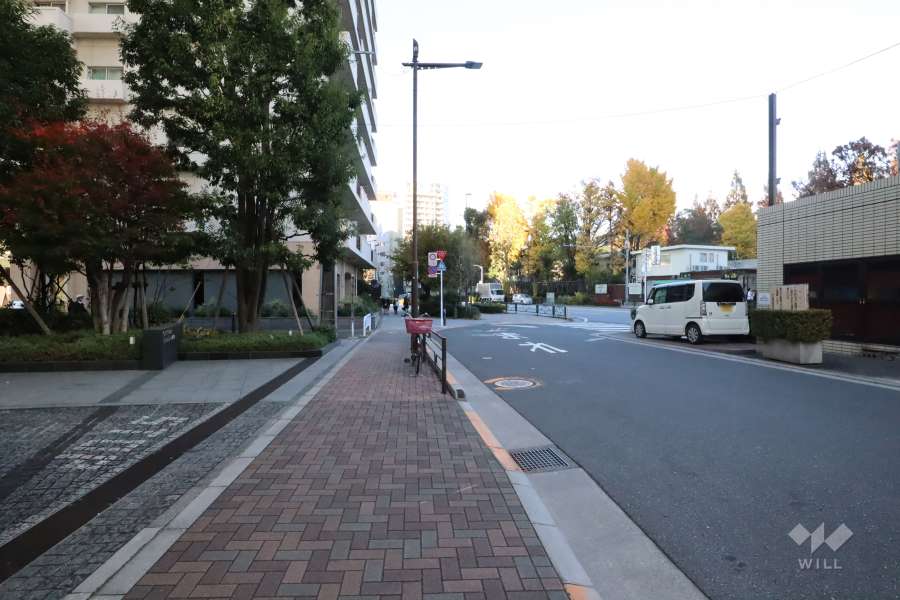 敷地東側の前面道路(南側から)