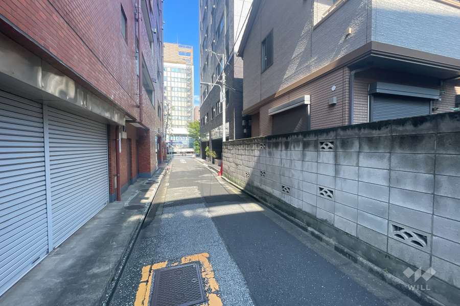 敷地の南西側前面道路（南東側から）