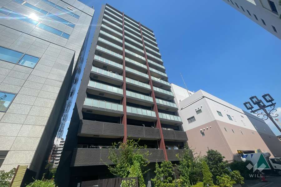 レーベンリヴァーレ浅草エヴァープライドの外観（南西側から）