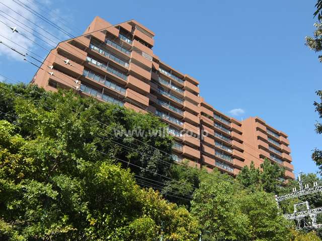 メゾン白鶴の外観（南西側から）