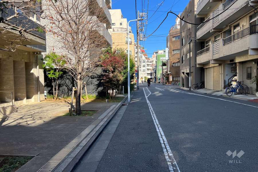 敷地の南東側前面道路（南西側から）