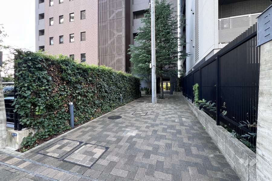 エントランスアプローチ（駐輪場アプローチ）