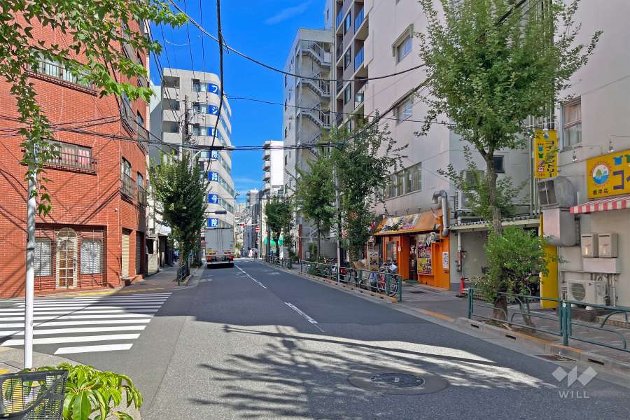 敷地の北側前面道路（西側から）