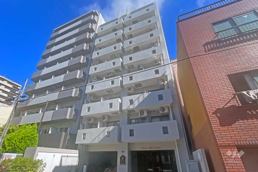 アーバンヒルズ上野の外観（南東側から）