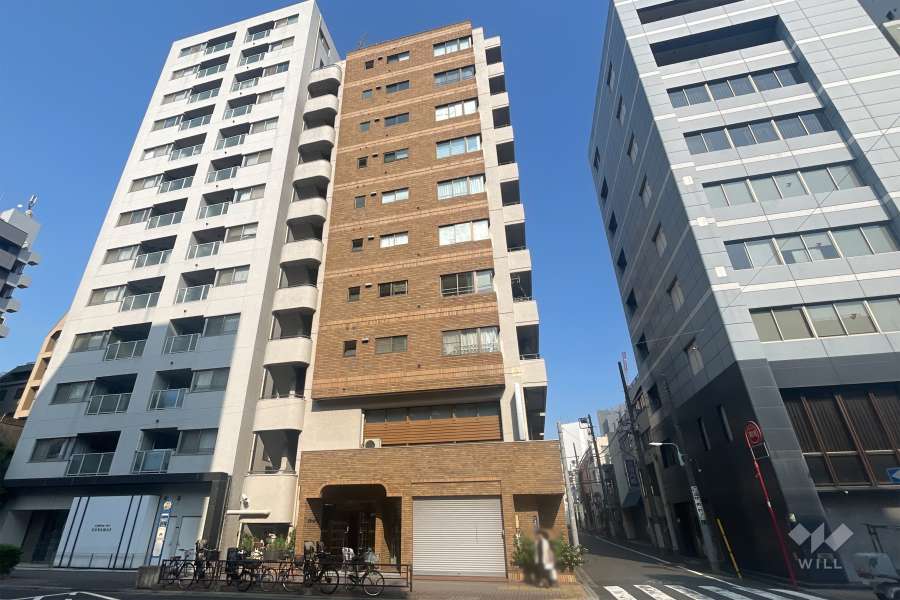 ドヌール蔵前の外観（南西側から）