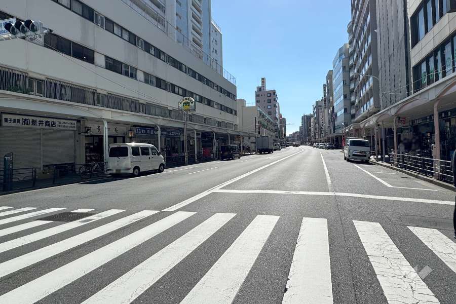 敷地の西側前面道路（北側から）