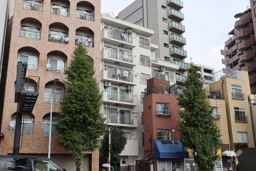 ルックハイツうぐいす谷の外観(南西側から)