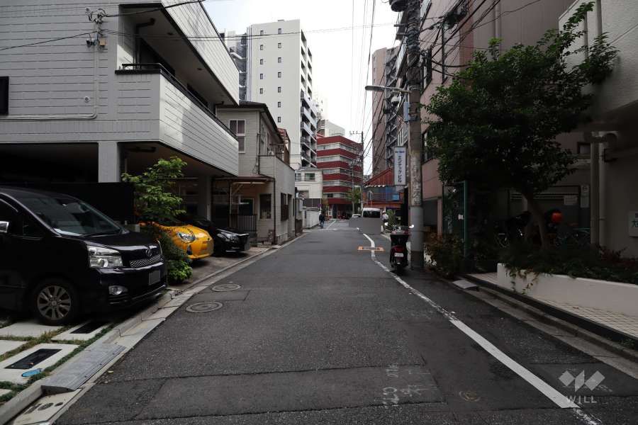 敷地北側の前面道路（西側から）