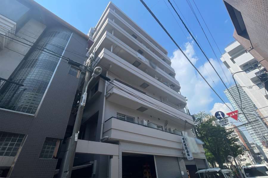 グリーンハイツ浅草の外観（南東側から）