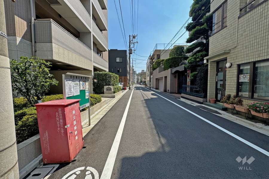 敷地の東側前面道路（北側から）