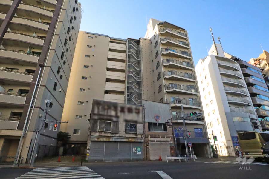 ビレッタ池之端の外観(東側から)