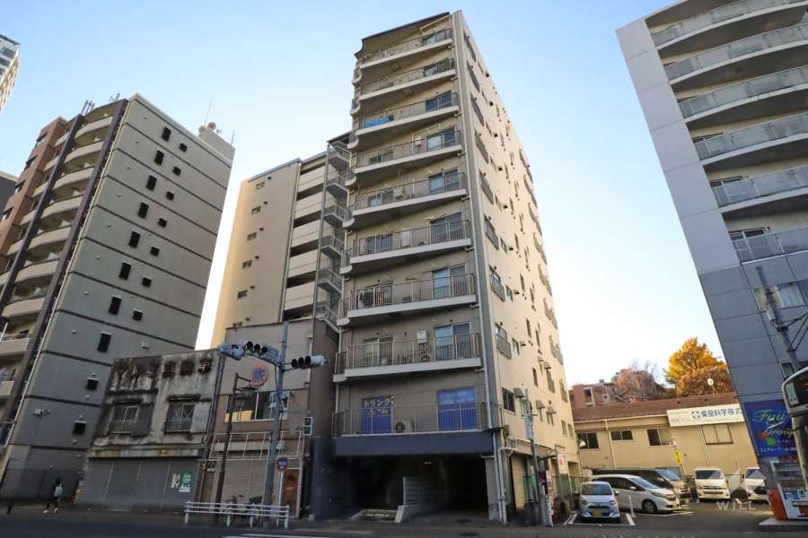 ビレッタ池之端の外観(北東側から)