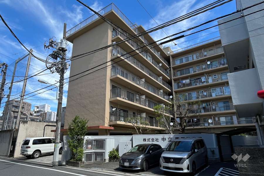 上野ハイツの外観（南西側から）