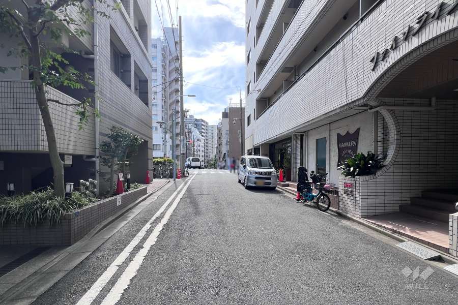 敷地東側の前面道路