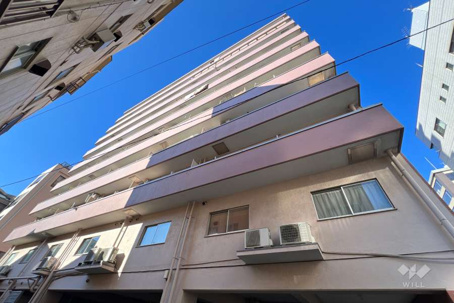 雷門永谷マンションの外観（南東側から）