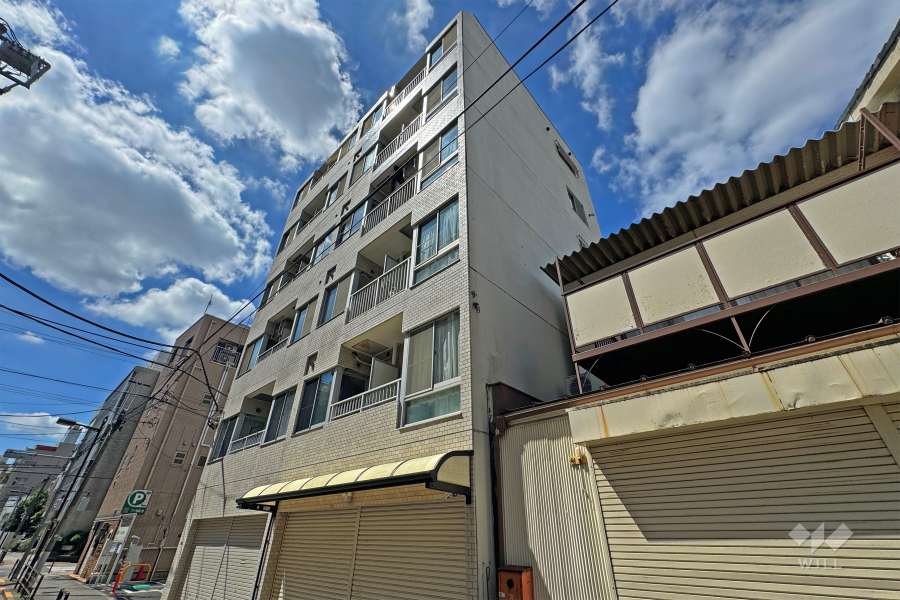扶桑ハイツ上野松が谷の外観（北東側から）