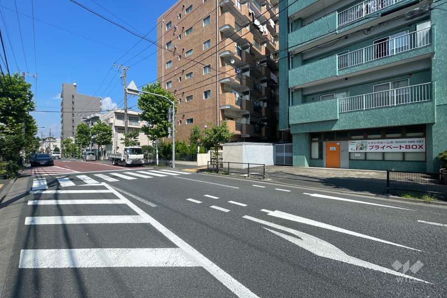 敷地の西側前面道路（南側から）