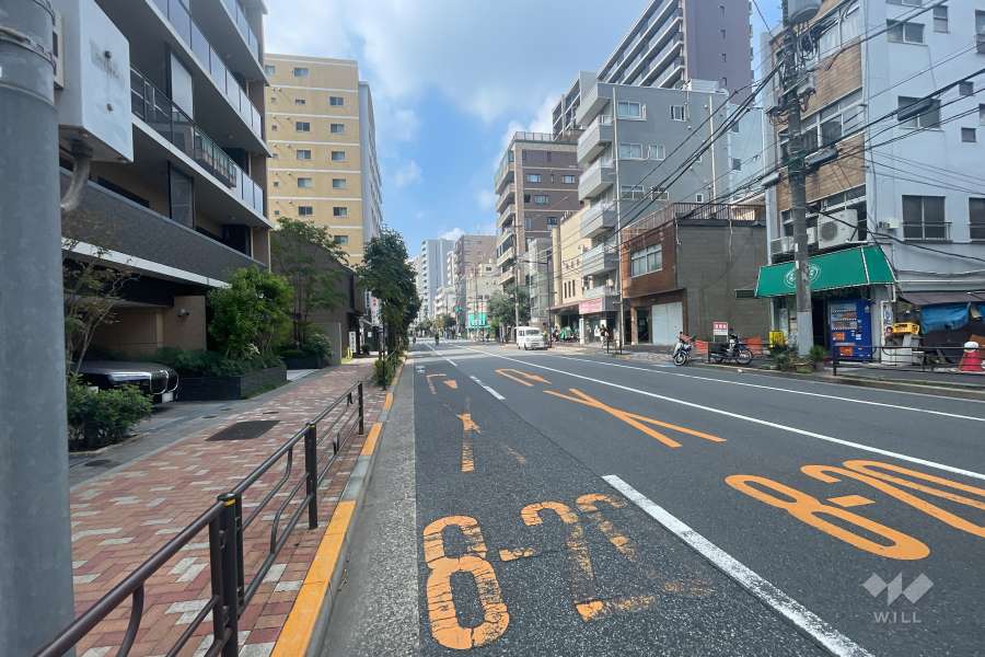 敷地南東側の前面道路（南西側から）