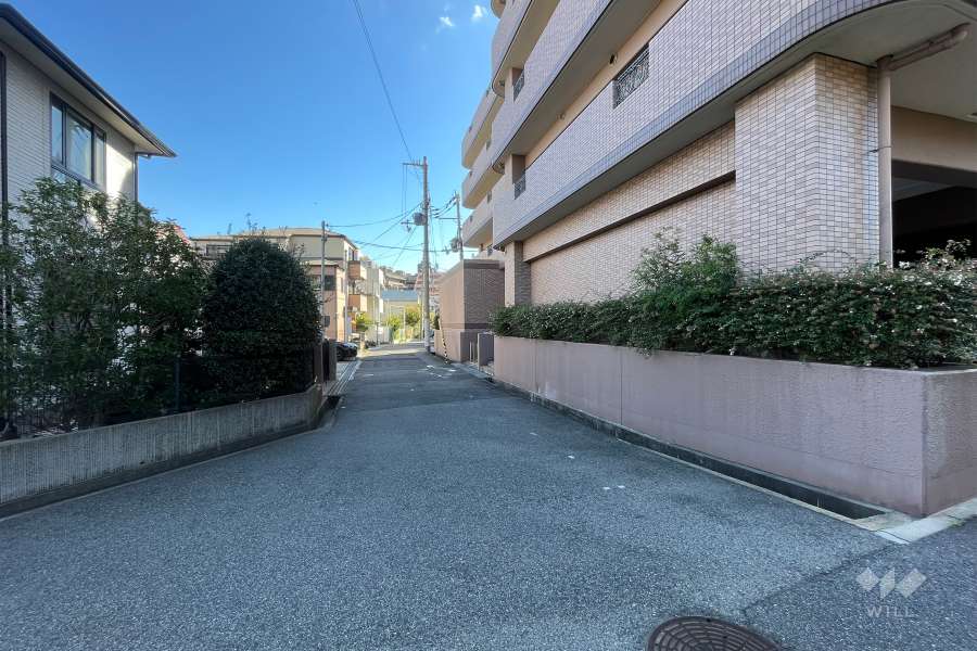 敷地東側の前面道路（北側から）
