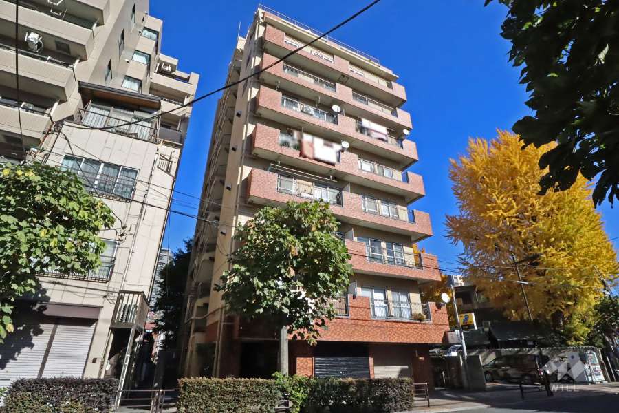 第3鶯谷泰寿院ハイツの外観(南西側から)