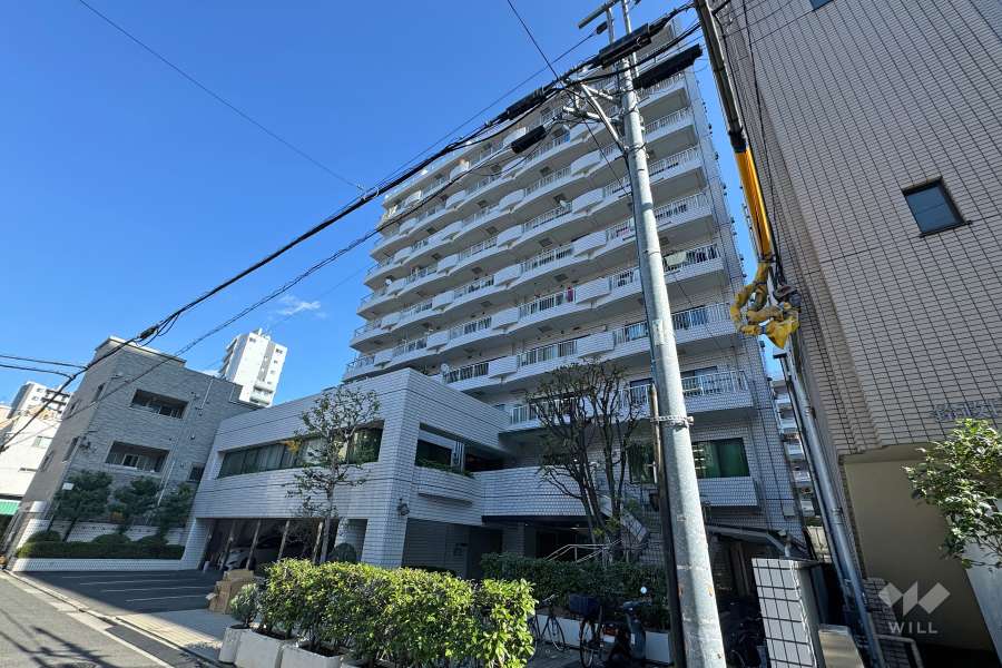 ホワイトレジデンスの外観（西側から）