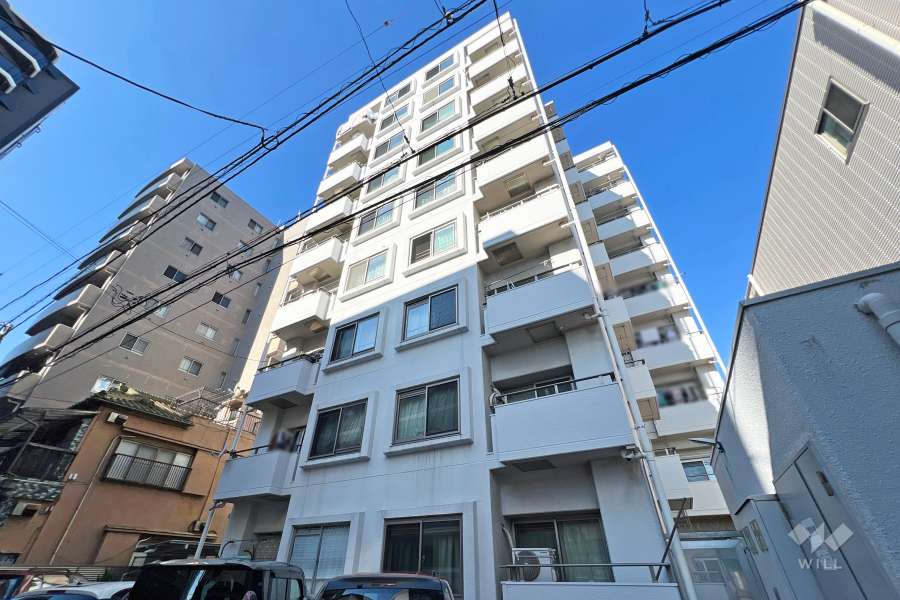 朝日グリーンハイツの外観（南東側から）　