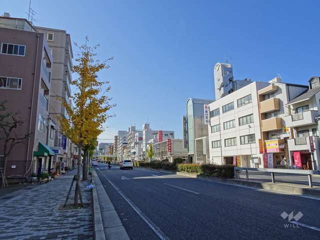 敷地北側の前面道路（国道2号線）