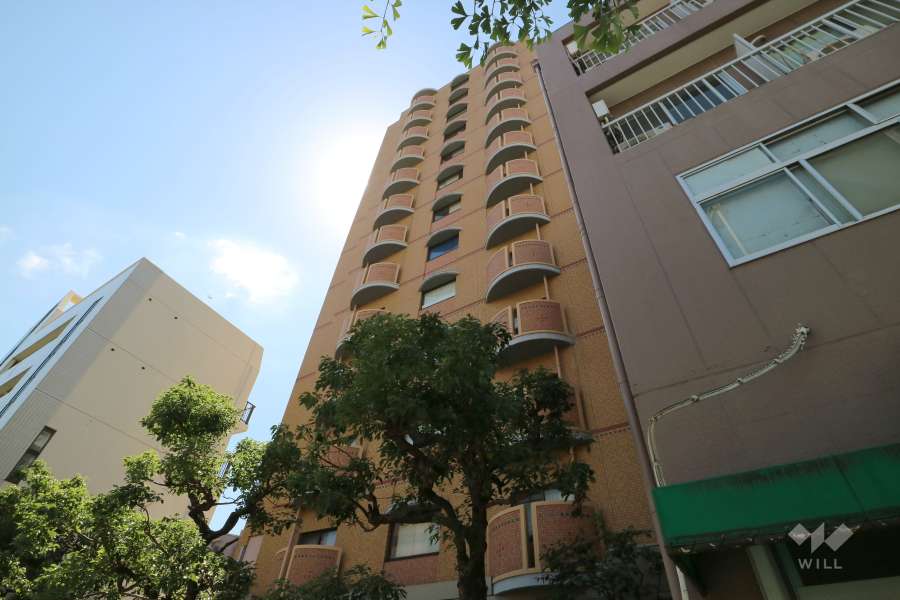 グランディール甲南の外観（北西側から）