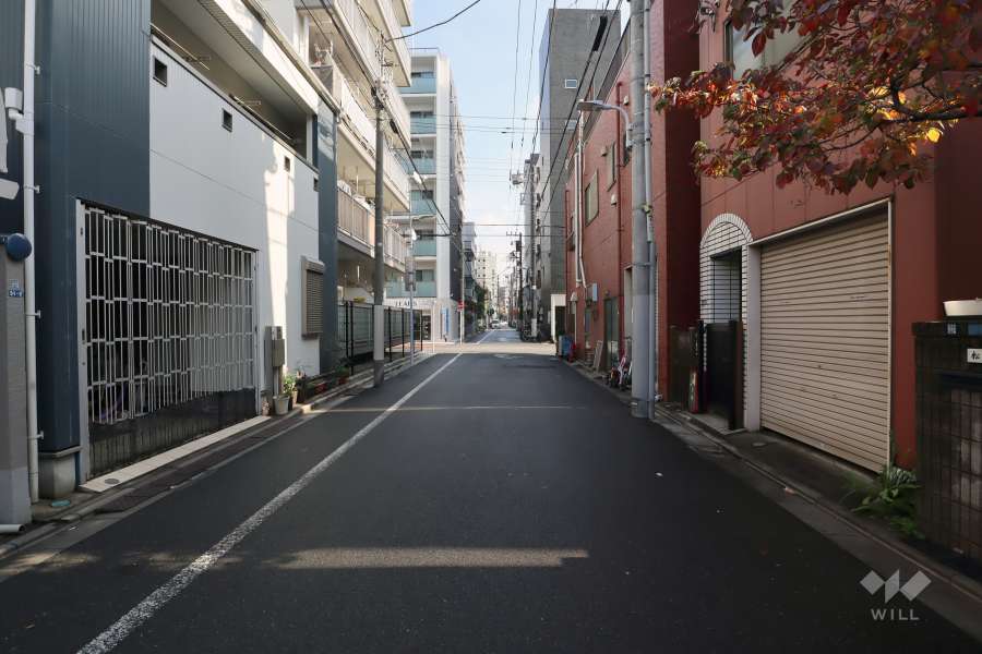 敷地南側の前面道路(西側から)