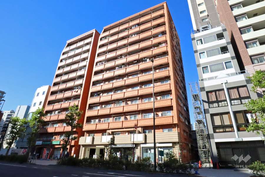 エクセル入谷の外観(北東側から)