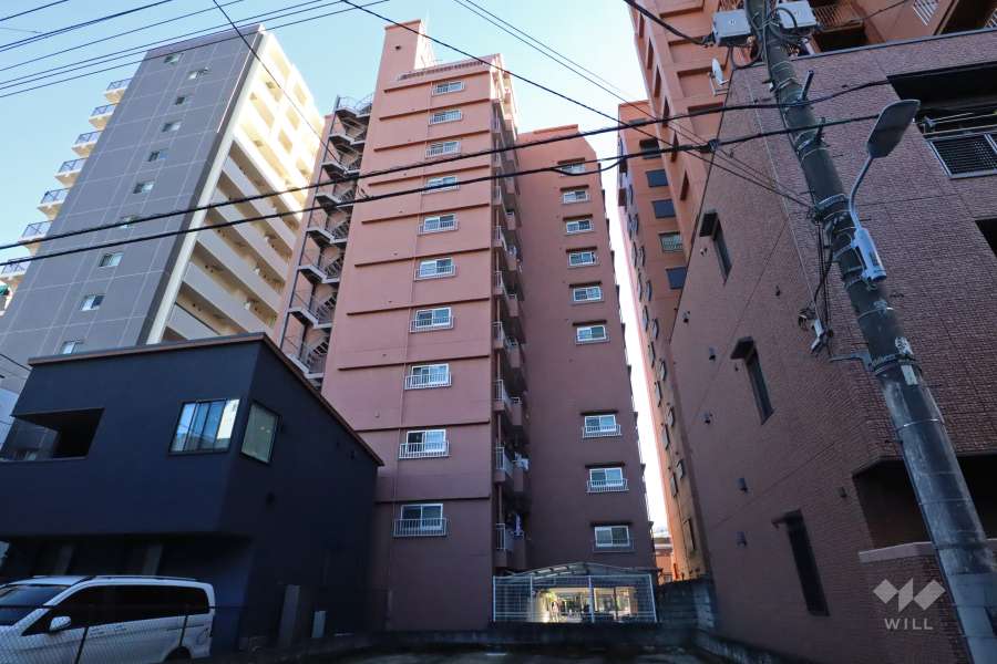 エクセル入谷の外観(南西側から)