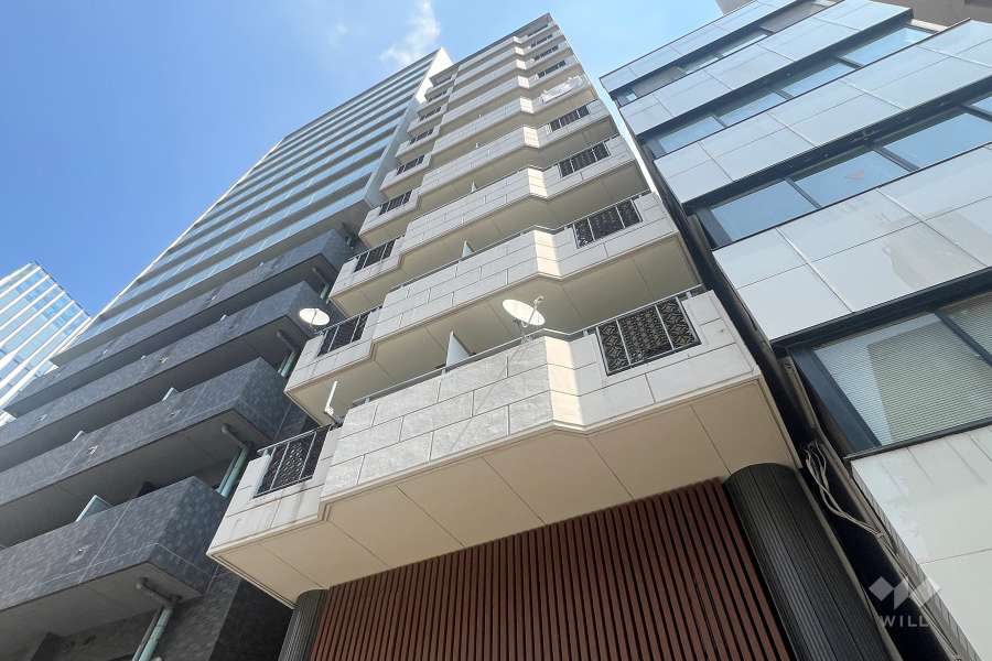 ルシール雷門の外観（南西側から）　