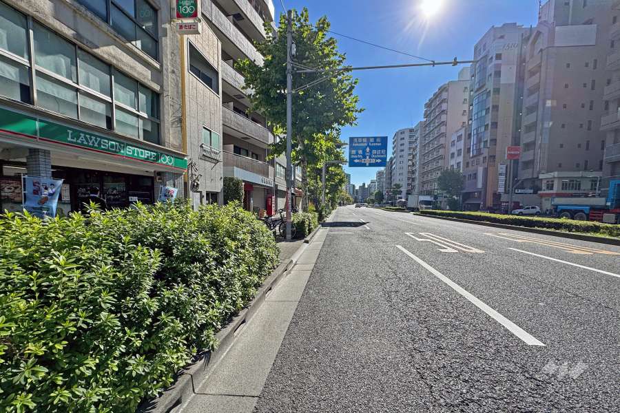 敷地の西側前面道路は国際通りです（北側から）。